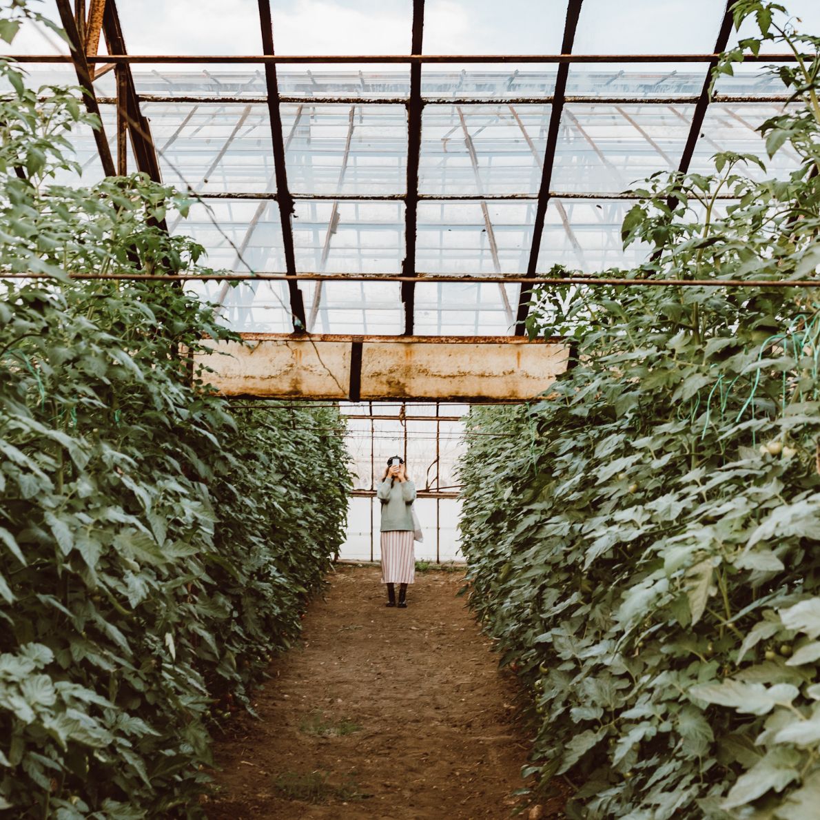 Garden, Grow & Go